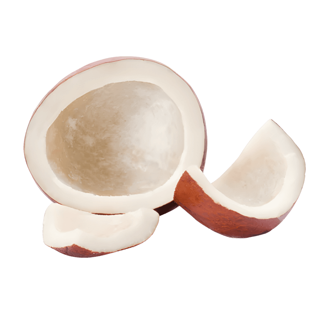 Dry Coconut 1 Pc buy online USA