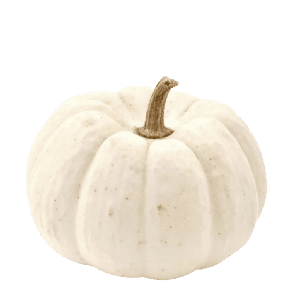 White Pumpkin 1 lb buy online USA